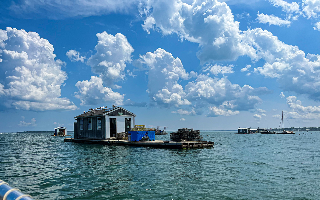 Island Creek Oysters