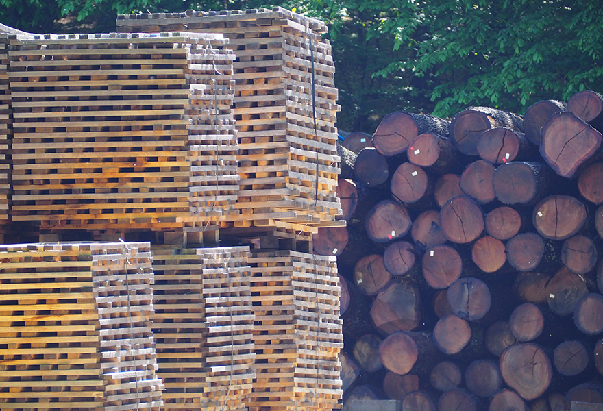 Log Aging Yard