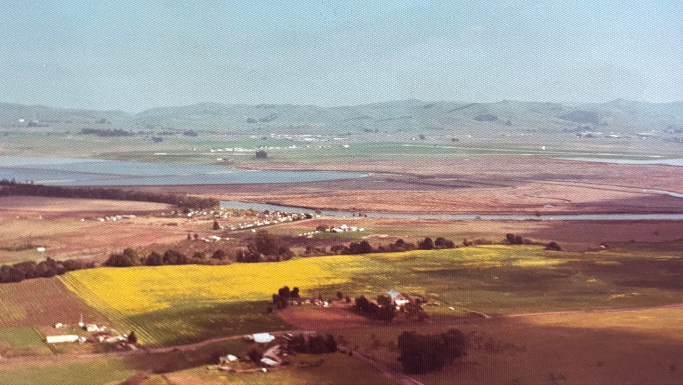 Poseidon Vineyard 1973