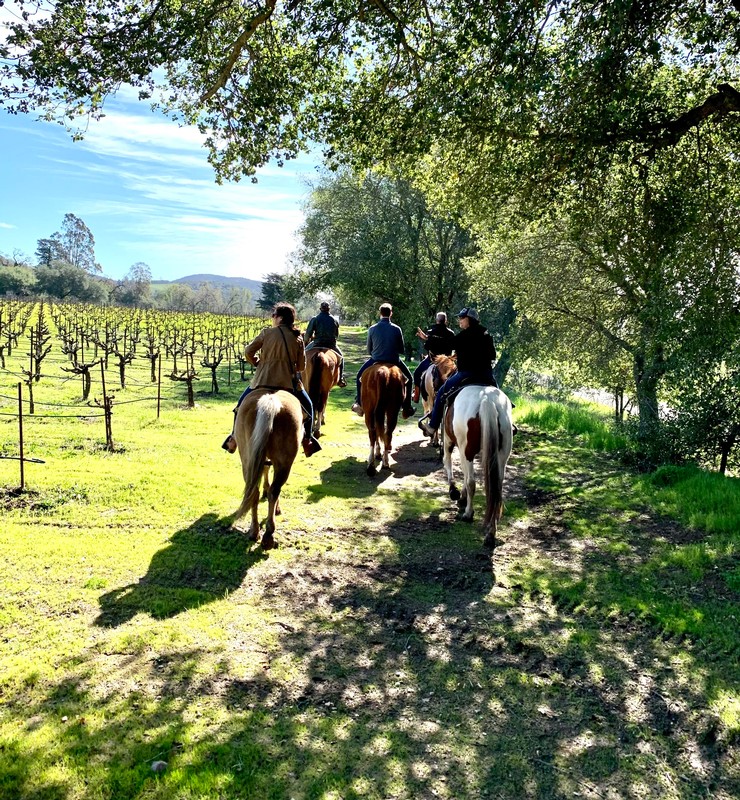 Horseback ride