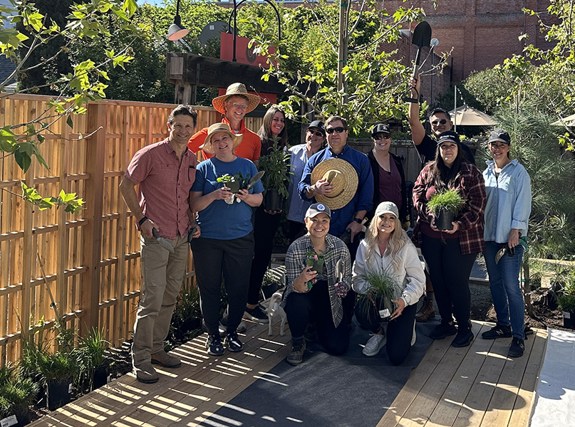 Team planting day