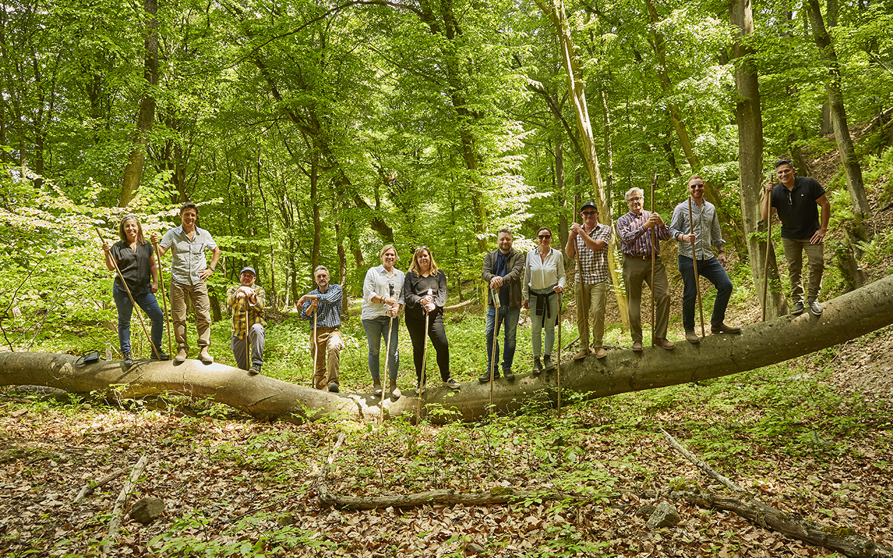 Forest Trek