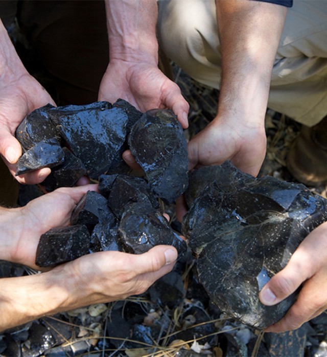 People holding volcanic rocks in their hands