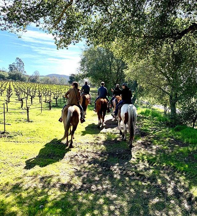 Horseback Riding adventure at Obsidian Wine Co