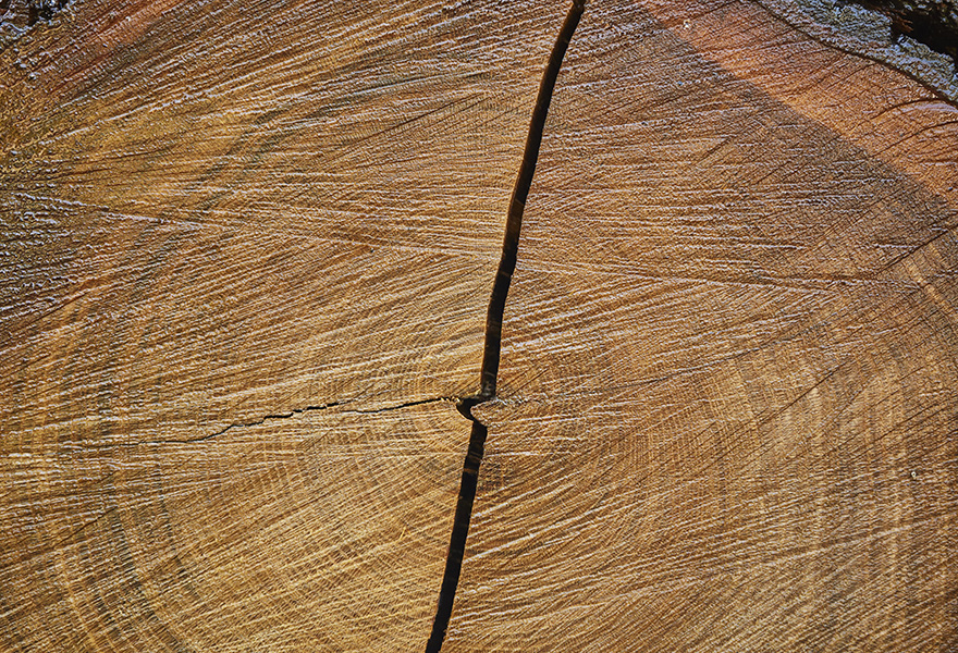 Log Aging