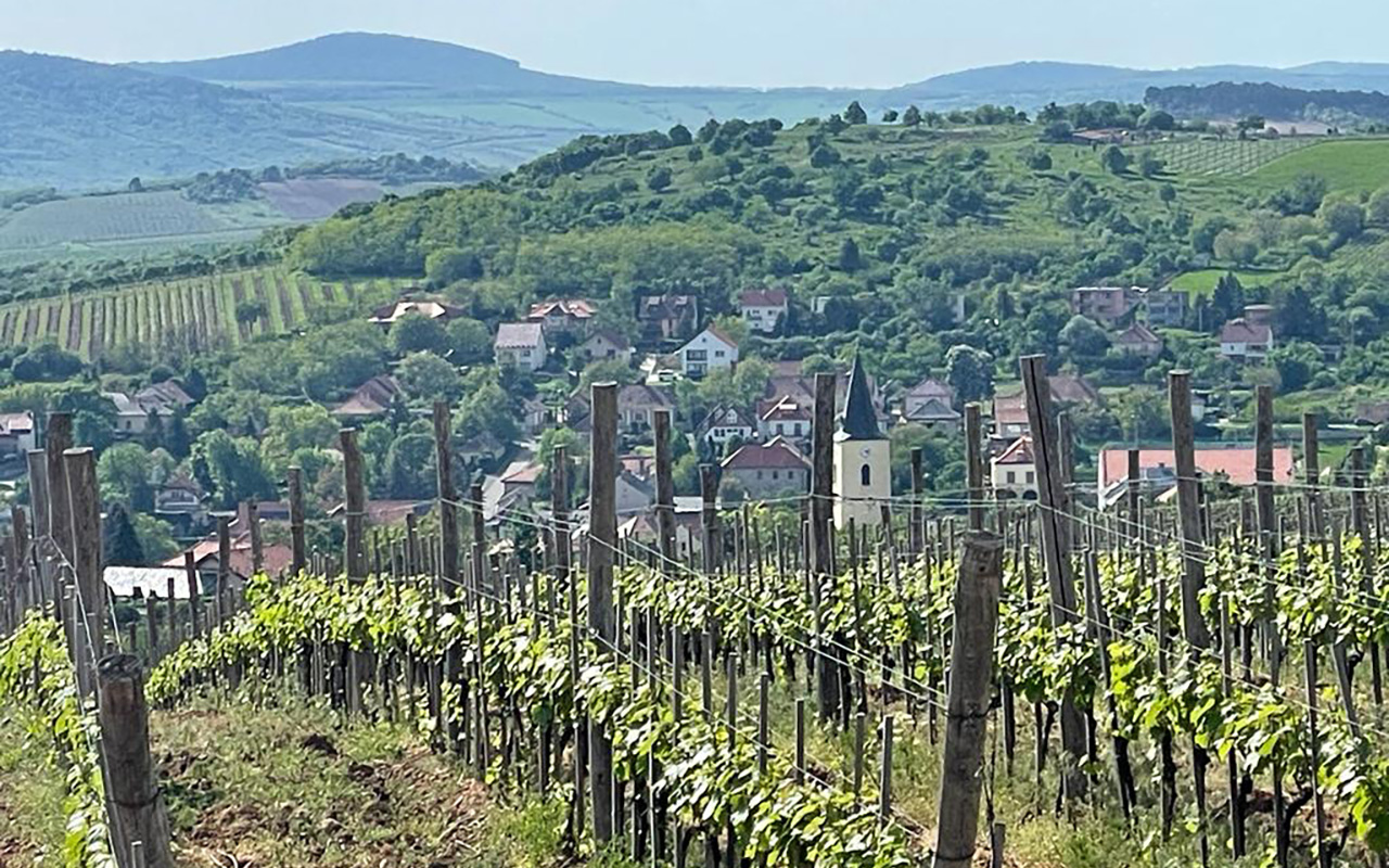 Mad Village