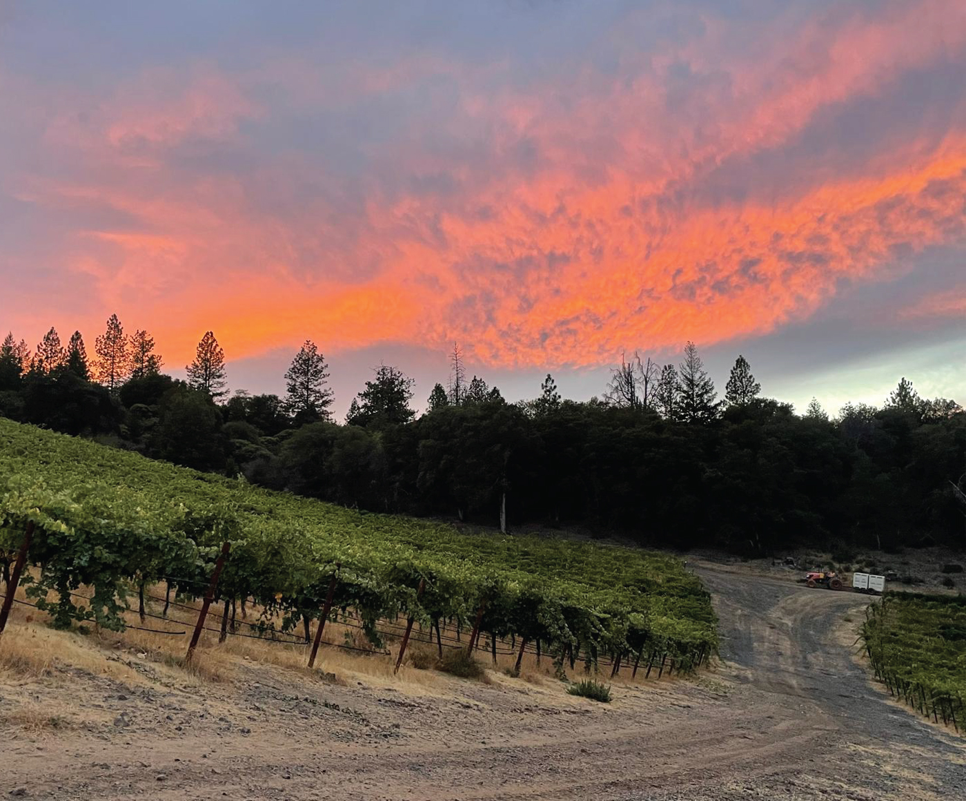 Sunset at Obsidian Ridge Vineyard