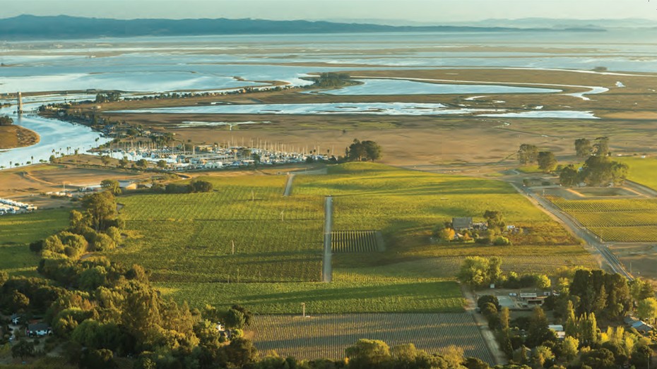 Aerial view of Obsidian Wine Co Poseidon Vineyard