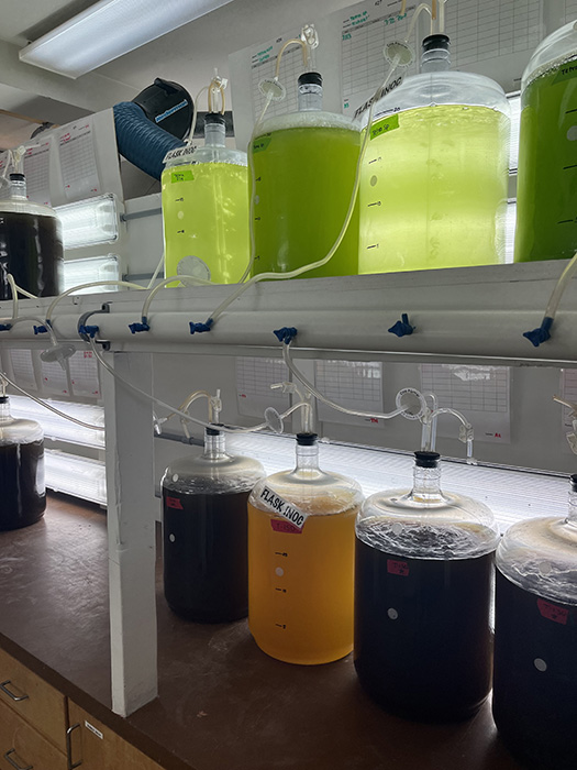 hatchery2 