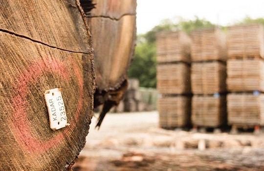 Hungarian oak wood and pallets
